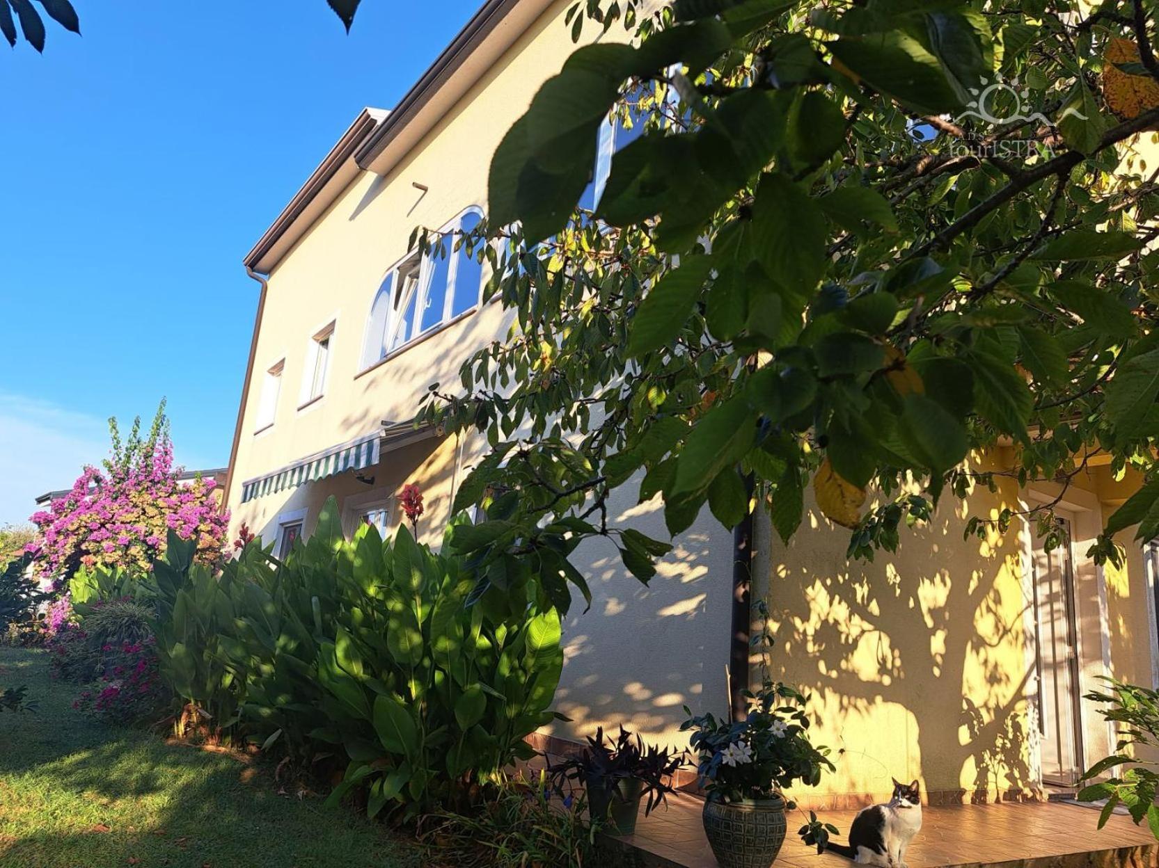 Bozica House With Apartments Murine Kültér fotó